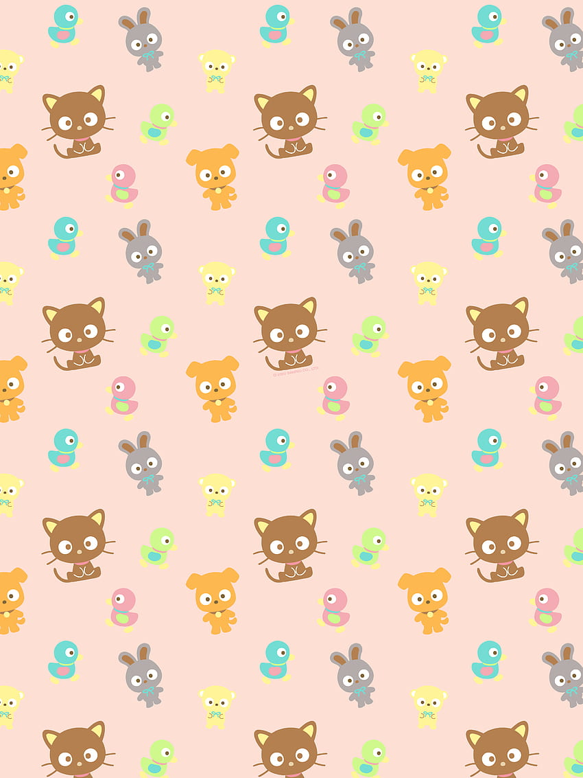 Chococat, felidae, mammal HD phone wallpaper