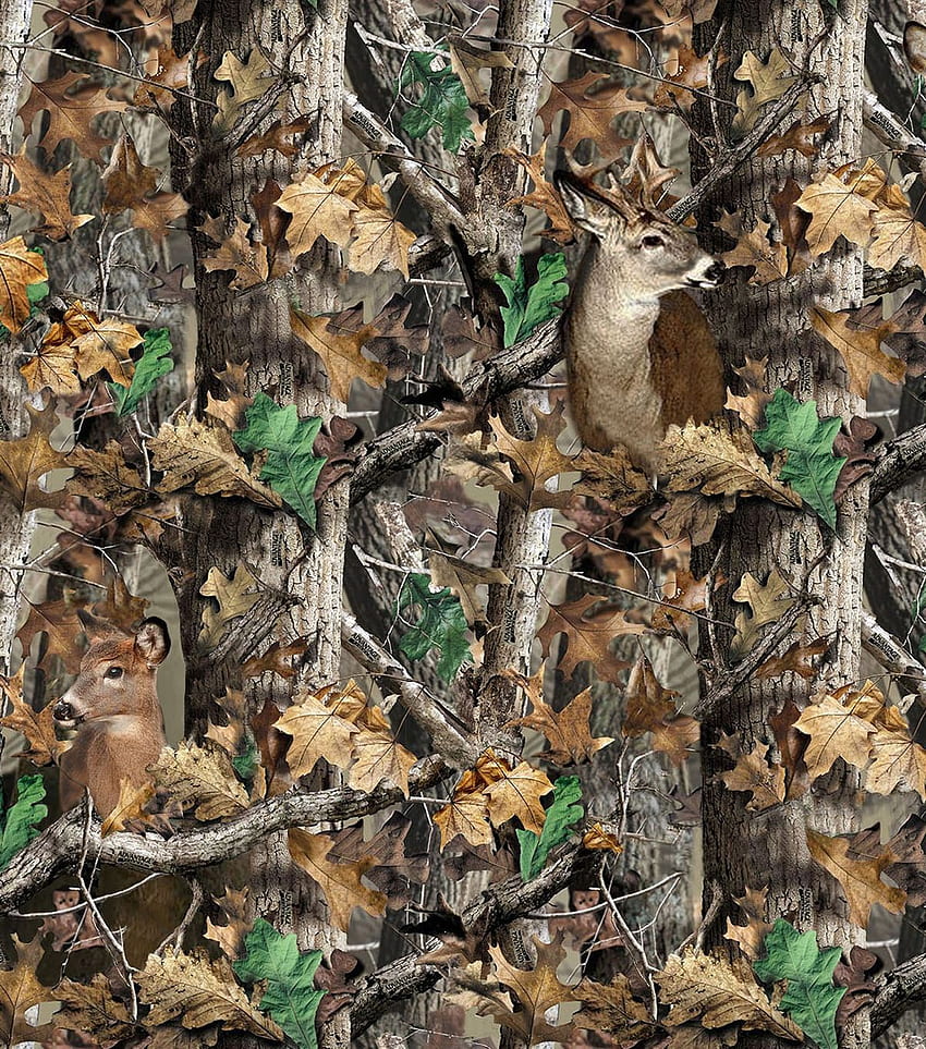 Realtree Camouflage Deer Fleece Fabric 58、Realtree Buck HD電話の壁紙