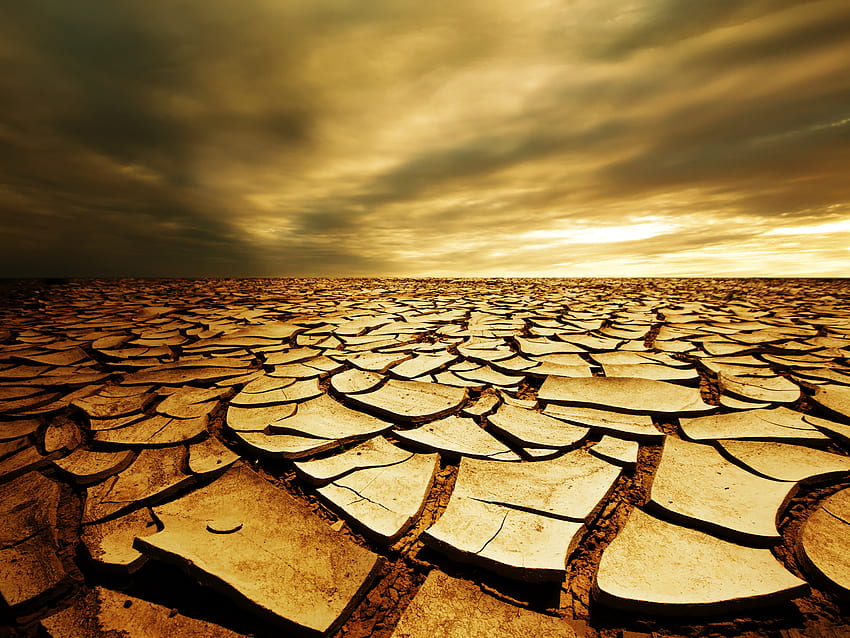 Causes drought Stock Photos, Royalty Free Causes drought Images |  Depositphotos