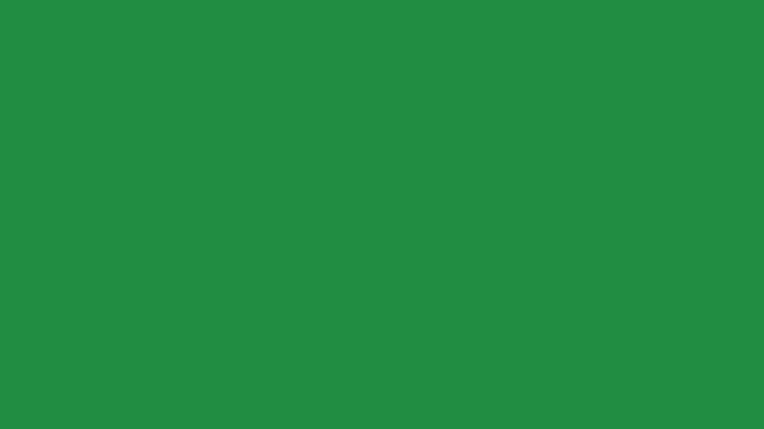 Обикновен зелен фон: векторни, , PNG, PSD файлове, светло зелен обикновен фон HD тапет
