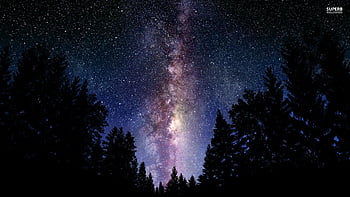 Rừng thiên hà là một trong những kỳ quan độc đáo của vũ trụ. Thông qua những ảnh thiên văn rừng thiên hà, chúng ta có thể chiêm ngưỡng những vùng không gian đầy sức sống và vẻ đẹp kỳ lạ của vũ trụ.