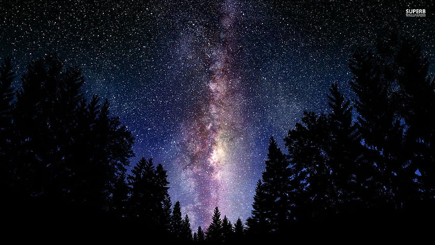 Foresta della galassia, vista della galassia di Samsung Sfondo HD