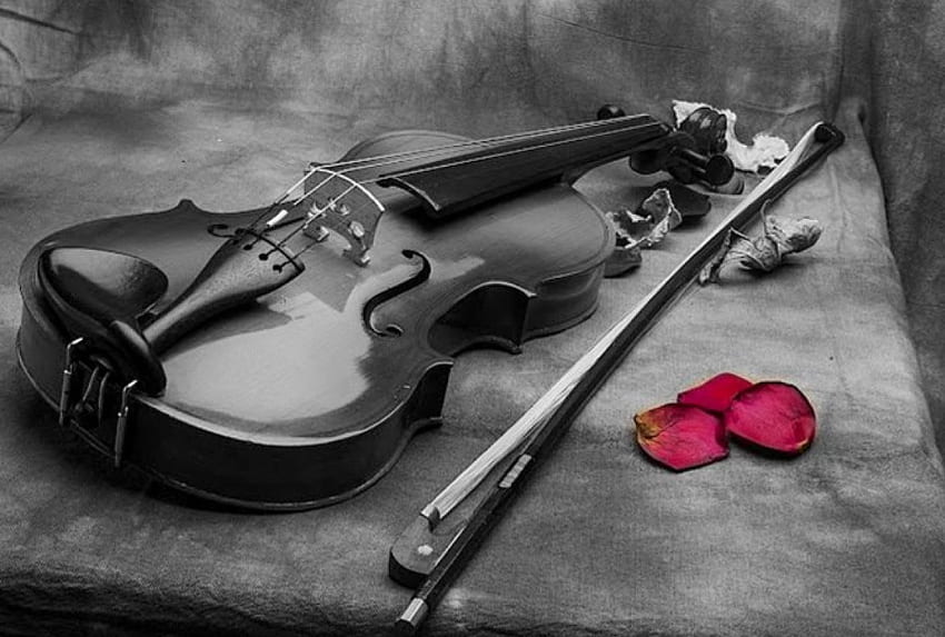 Quiet time, music, violin, red HD wallpaper