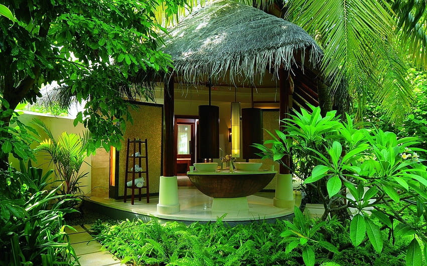 of jungle houses. House Jungle Landscape HD wallpaper