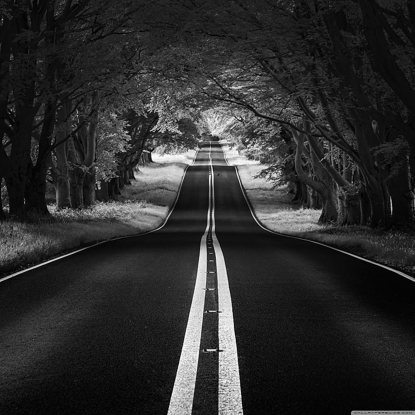 Czarno-biała droga, ciemna autostrada Tapeta na telefon HD