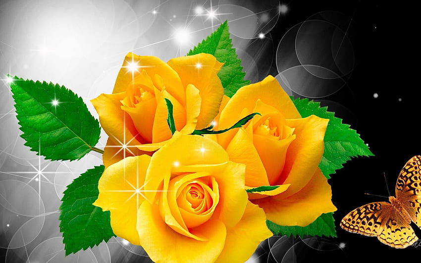 Butterfly on yellow roses HD wallpapers | Pxfuel