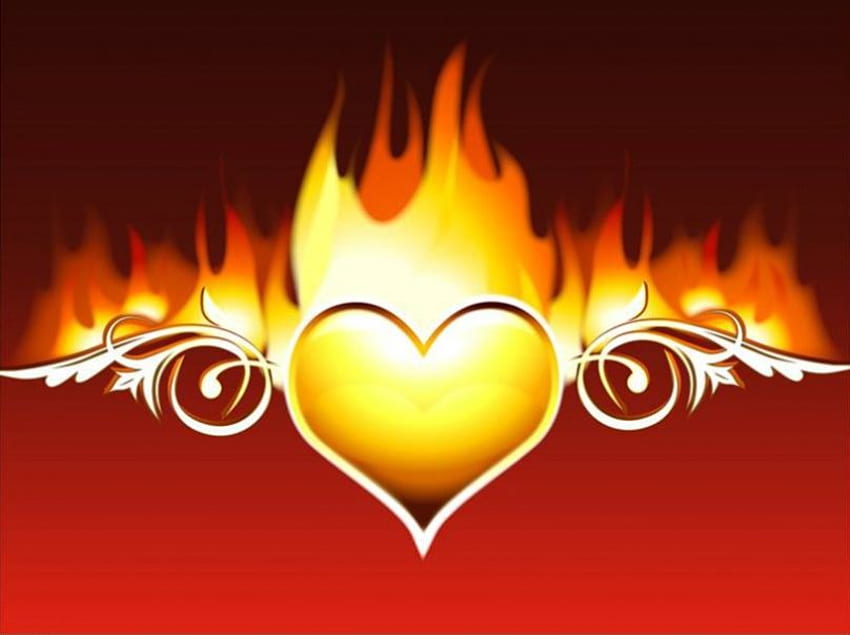 Burning Love, swirls, love, flames, heart, fire HD wallpaper
