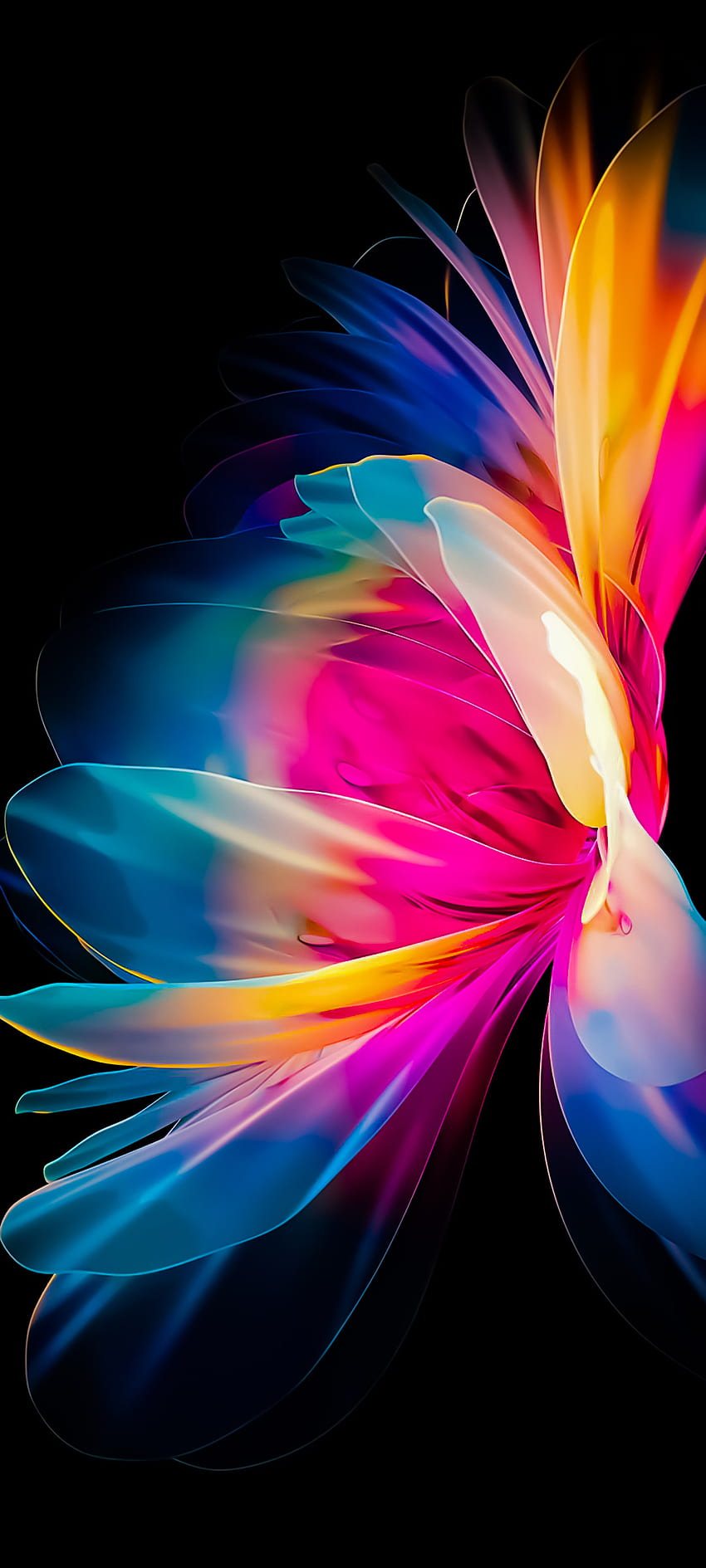 Vibrant flower, magenta, pink HD phone wallpaper