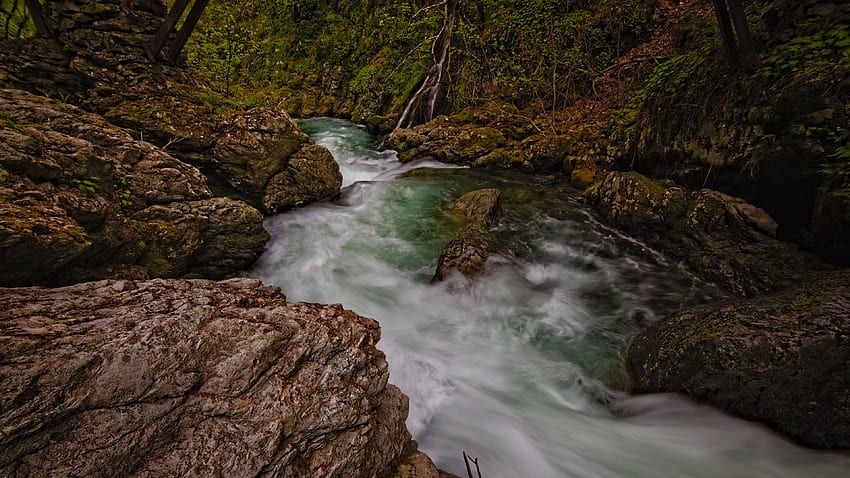 Wasser, Bach, Steine, Fluss, Schaum, Langzeitbelichtung, Felsen, Wald, Bäume, Blätter, Landschaft, Natur im Hintergrund HD-Hintergrundbild