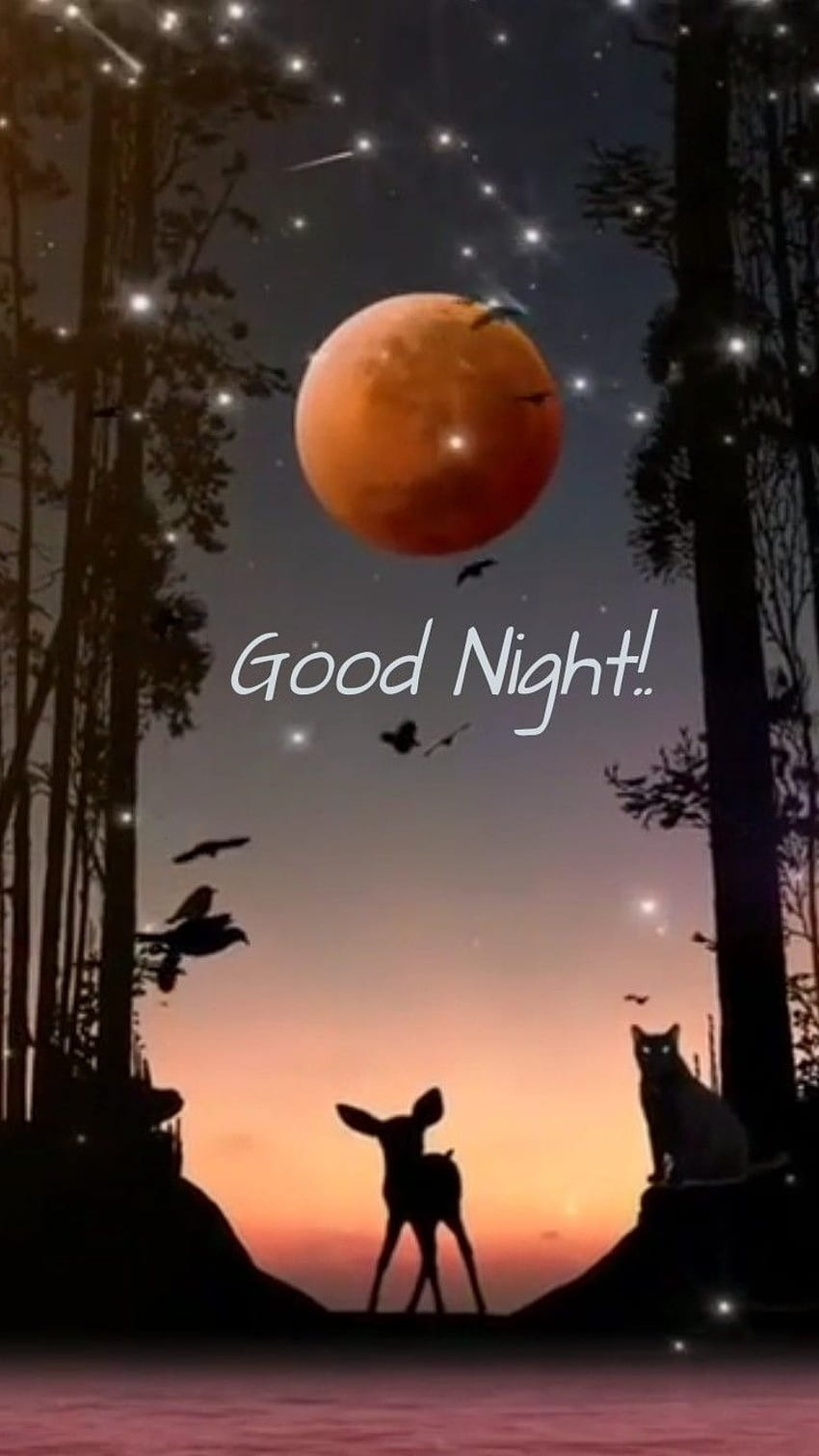 Good Night, Beautiful Nature, Background HD phone wallpaper | Pxfuel