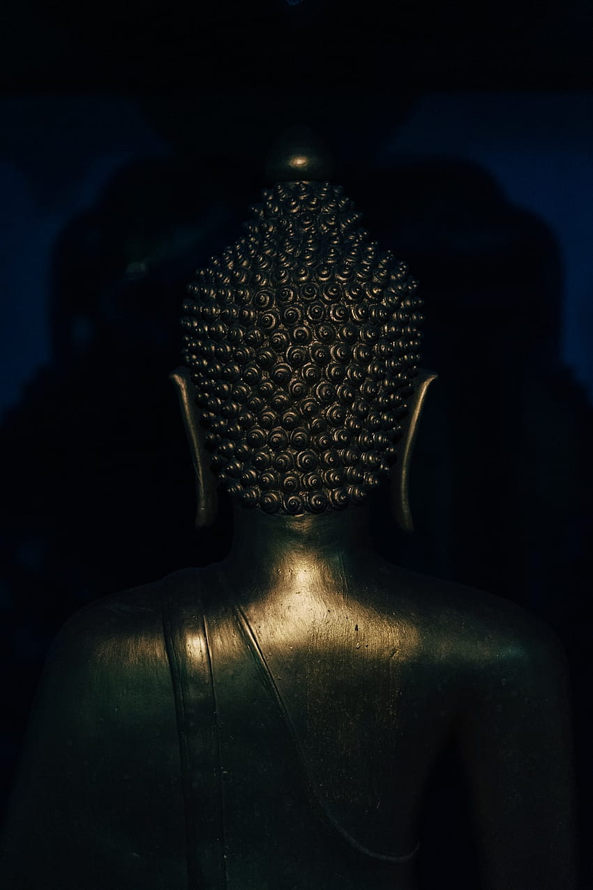 Buddha Meditation , Neon Buddha HD phone wallpaper | Pxfuel