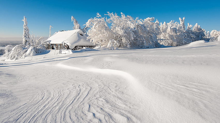 Winter, Natur, Bäume, Schnee, Gebäude, Verwehungen HD-Hintergrundbild