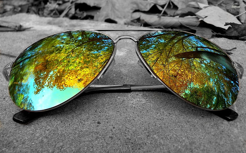 Sunglasses graphy Cloudbridge Nature Reserve HD wallpaper