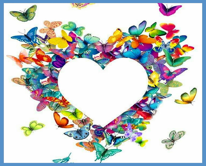 I love butterflies, butterflies, wings, heart, color HD wallpaper