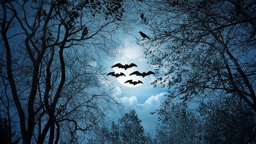 Noche de Halloween, noche, luna llena, bosque, espeluznante, árboles, Halloween, bosque, murciélagos, cuervos fondo de pantalla