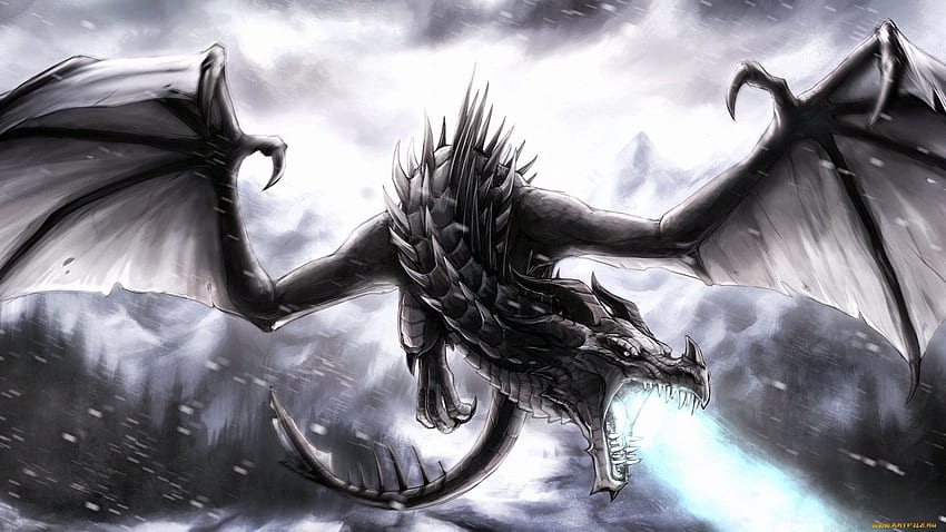 Black Dragon, Epic Black Dragon HD wallpaper