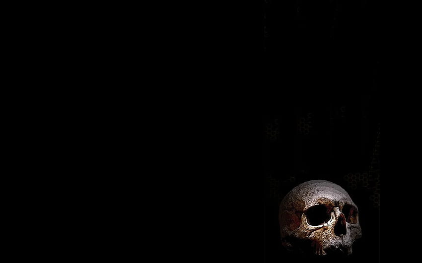 頭蓋骨と背景、暗い頭蓋骨 高画質の壁紙