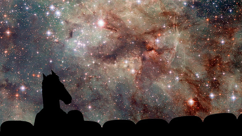 Bojack Horseman Nebula, Tarantula Nebula HD wallpaper