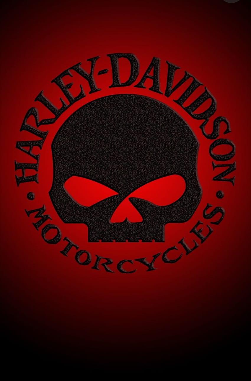Harley Davidson, symbol, mammal HD phone wallpaper