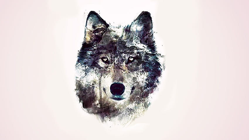 wolf hipster – Best, Hipster Tiger HD wallpaper