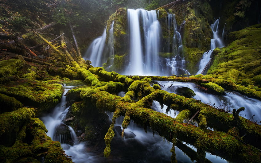 Downing Creek Falls, Oregon, rocks, cascade, river, trees, forest, usa HD wallpaper