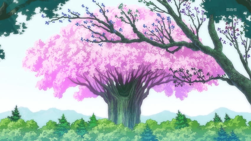 Las Króla Wróżek. Nanatsu no Taizai, Anime Fairy Cherry Blossom Tapeta HD