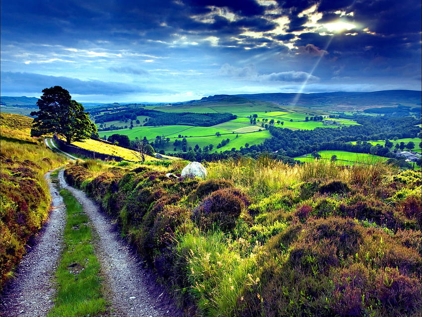 Селска пътека : Широкоекранна : Висока, провинция на Англия HD тапет