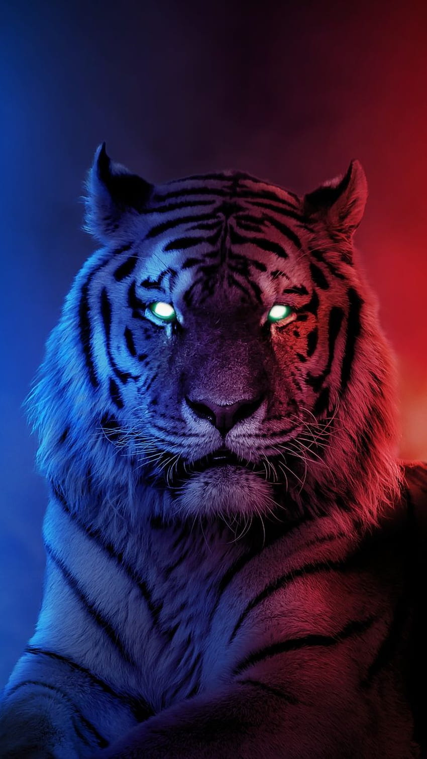 ཞơʂყ ཞơųɠɛ su . Tigre, arte dei grandi felini, opere d'arte della tigre, Wild Sfondo del telefono HD