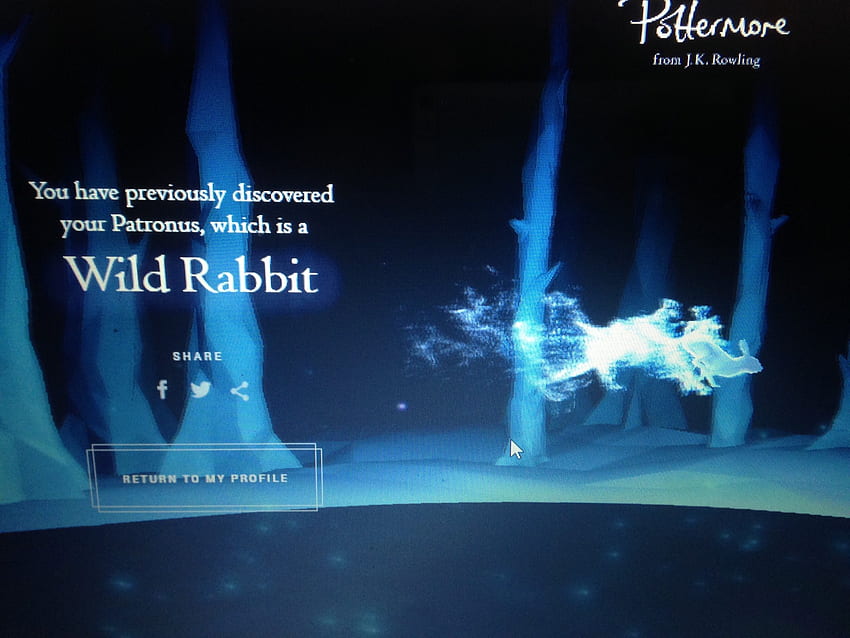 TA - Sorted into Ravenclaw with a Wild Rabbit Patronus. Time to win the house cup now HD wallpaper