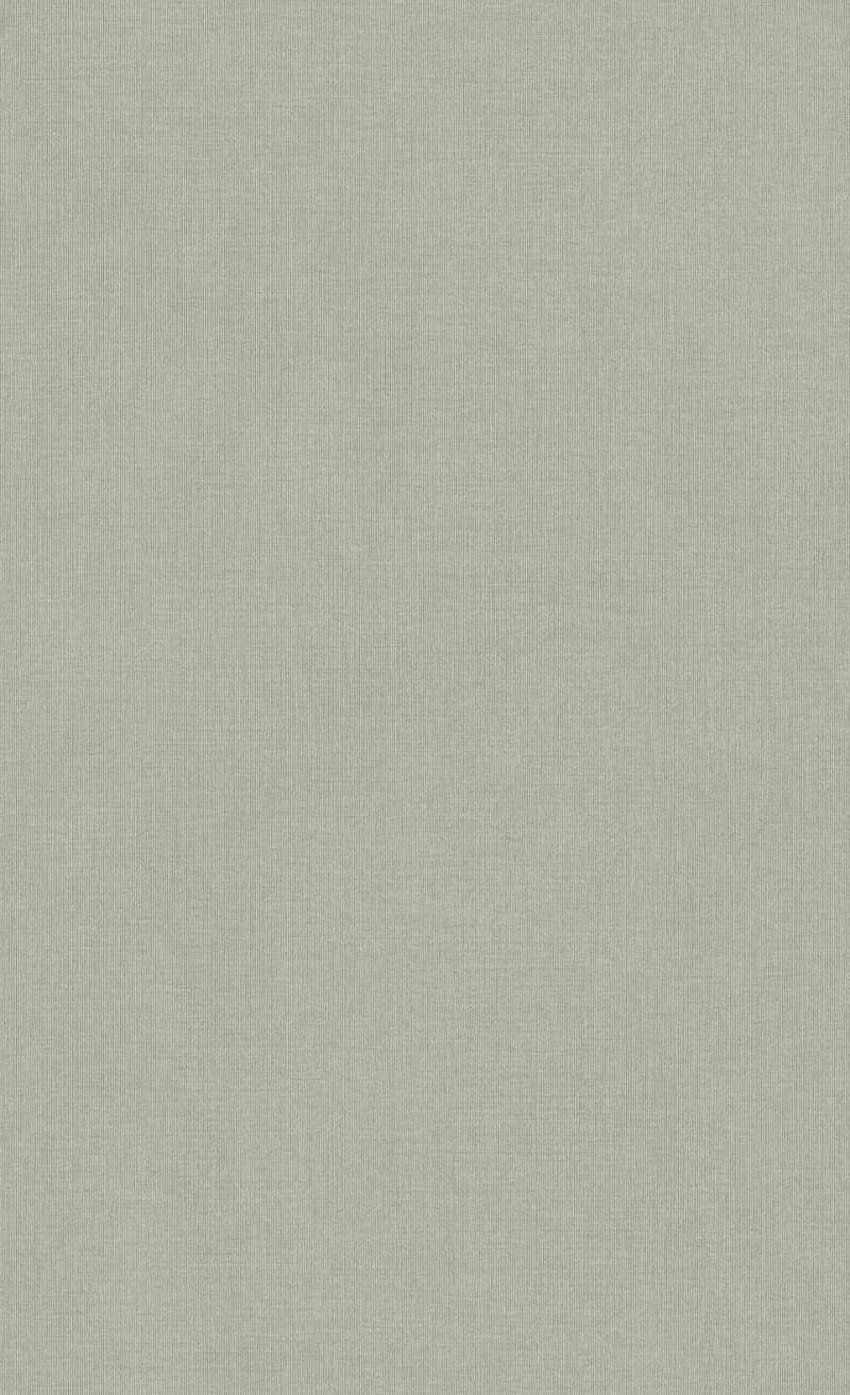 Light Grey Basic Texture Vinyl C7369. Office & Hotel – Walls Republic US, Light Beige HD phone wallpaper