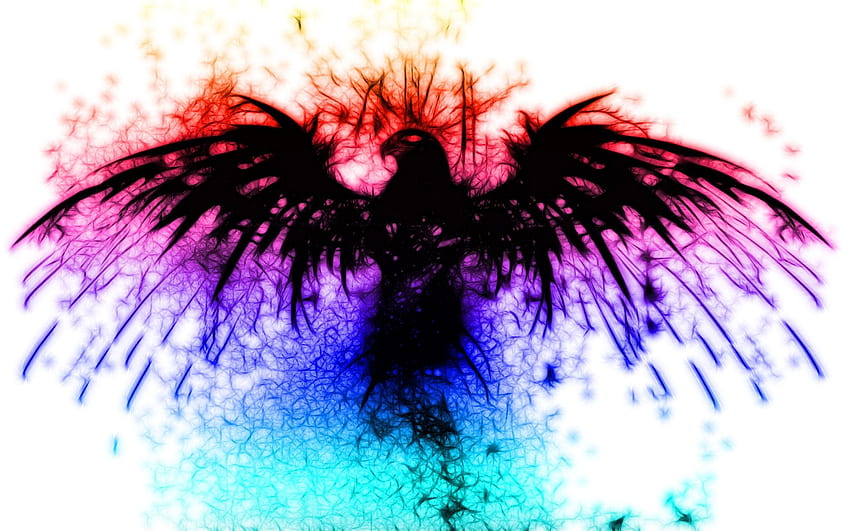 Cooler Adler HD-Hintergrundbild