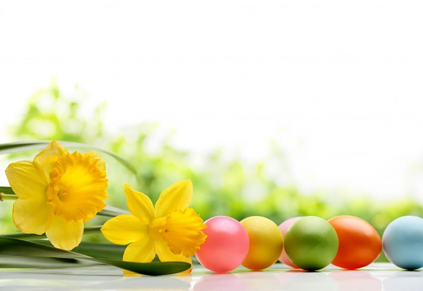 부활절 시간, 수선화, 부활절, 꽃, 봄, 계란 HD 월페이퍼