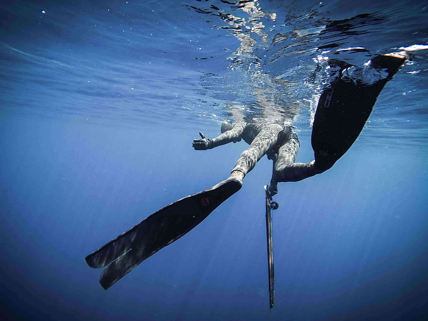 Spearfishing ทะเลเมดิเตอร์เรเนียน - & ความเป็นมา วอลล์เปเปอร์ HD