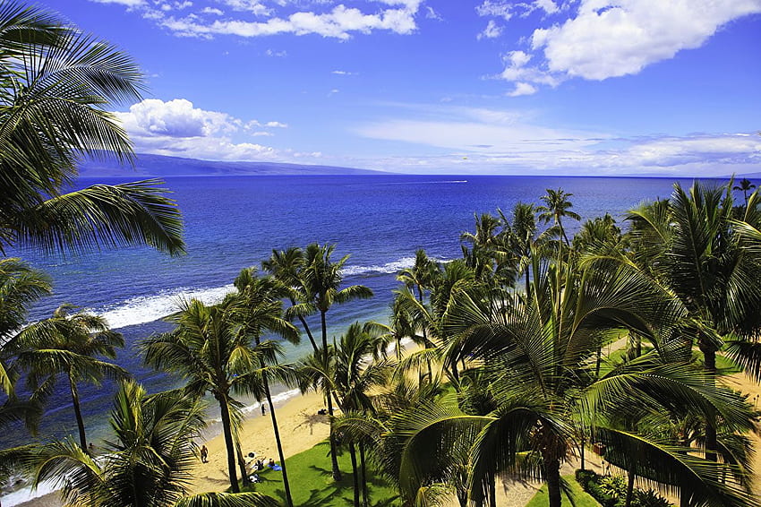 Hawaii Hilo Sea Ocean Nature Sky Palms Tropics Coast HD wallpaper