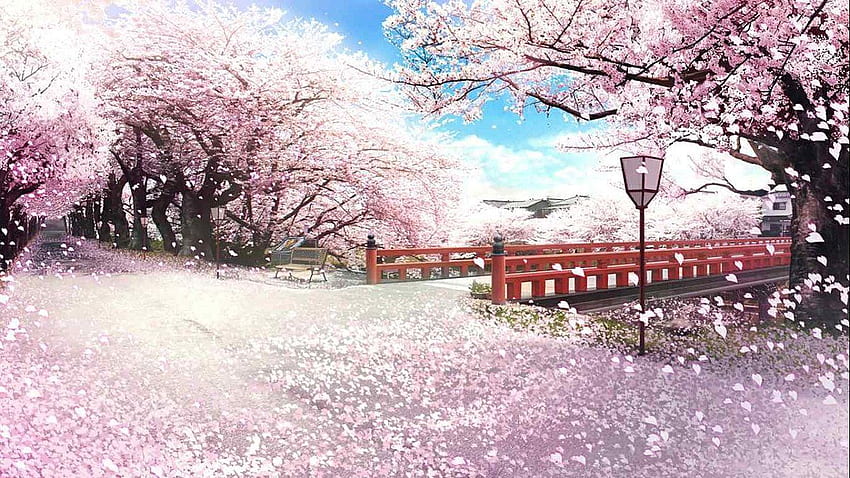 Japan Sakura For Mac f9gr. Anime background , Anime scenery, Anime background, Japanese Sakura Anime HD wallpaper