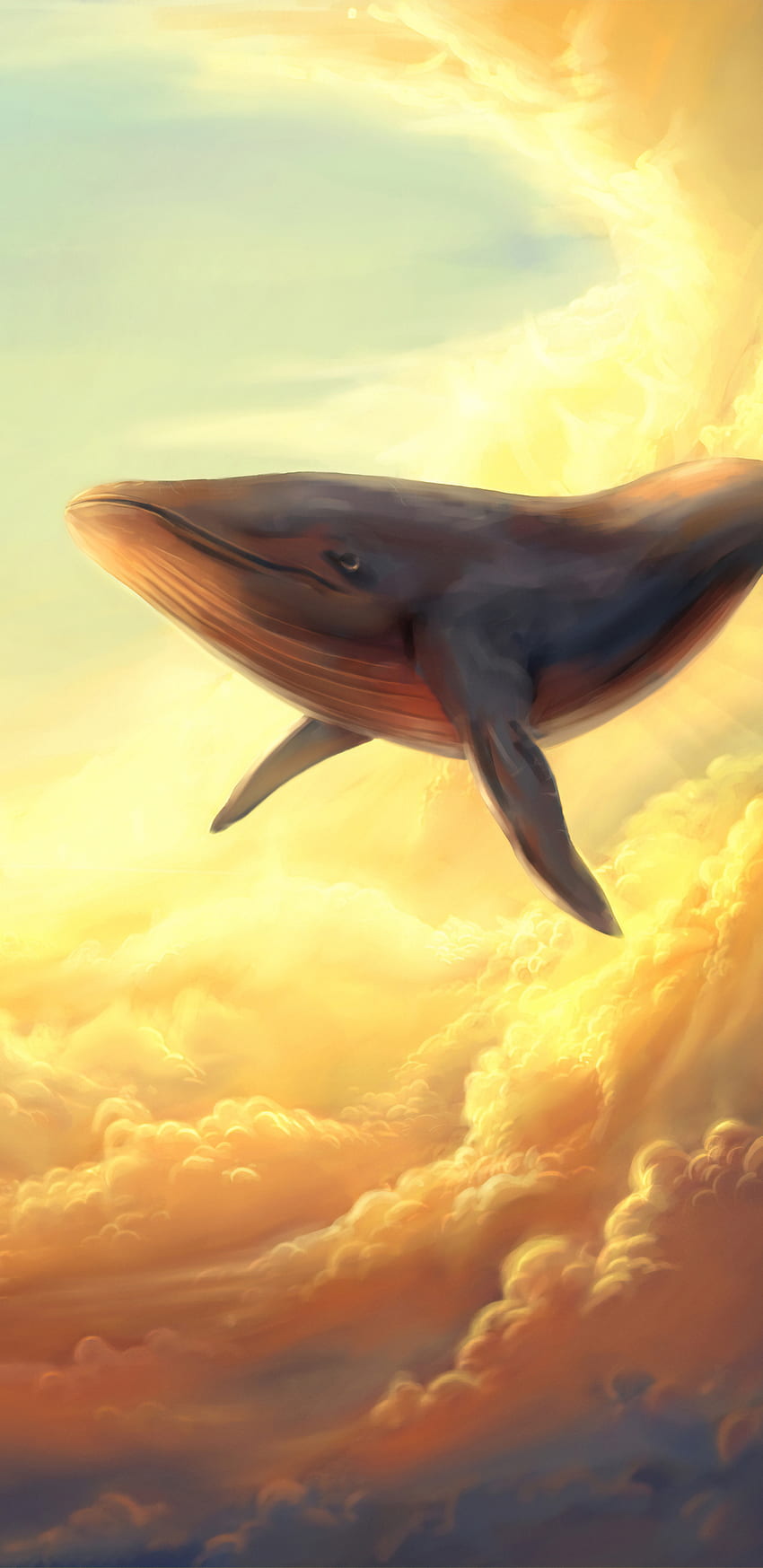 Whale In The Clouds Samsung Galaxy Note 9, 8, S9, S8, SQ , , Background,  and HD phone wallpaper | Pxfuel