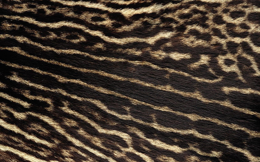 the Real Leopard Fur , Real Leopard Fur, Animal Skin HD wallpaper