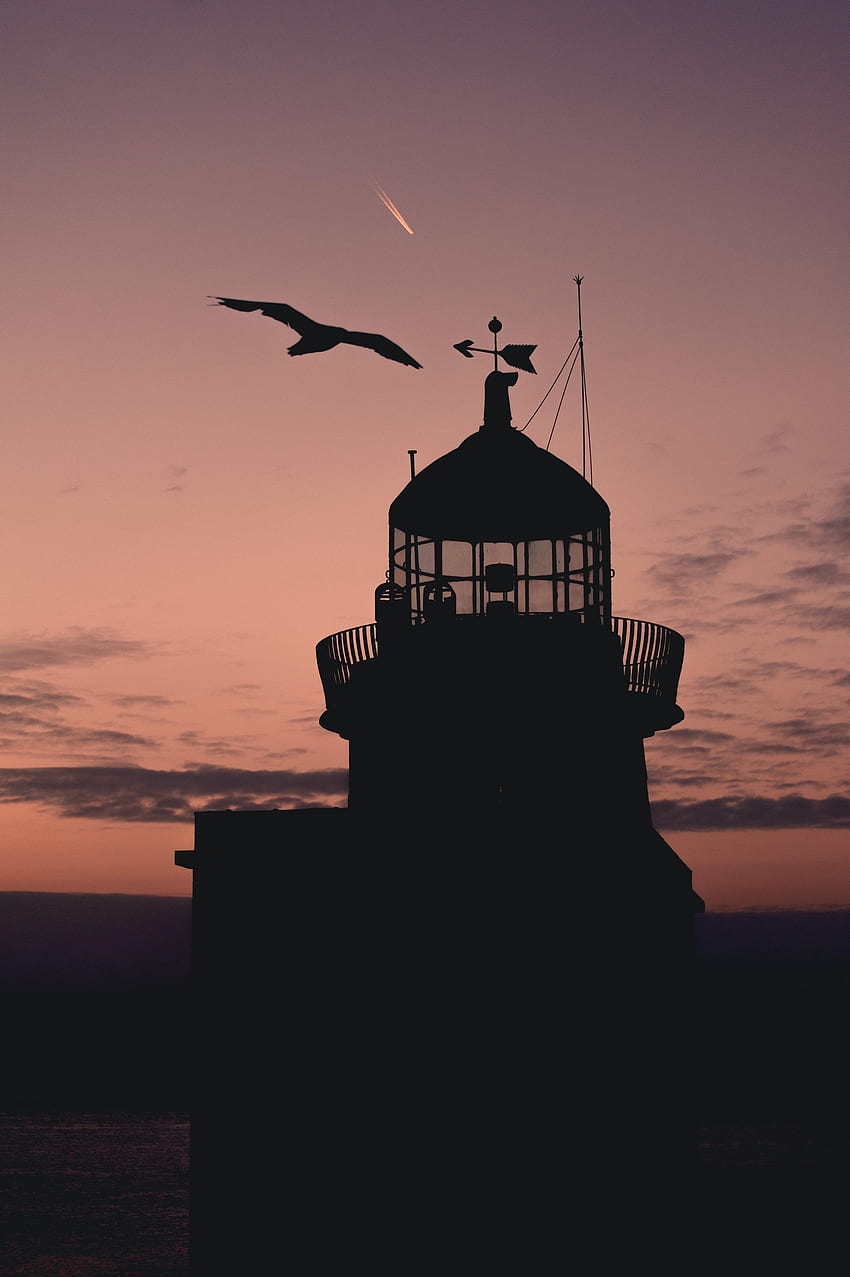 Sunset, Building, Dark, Silhouette, Bird, Lighthouse HD phone wallpaper