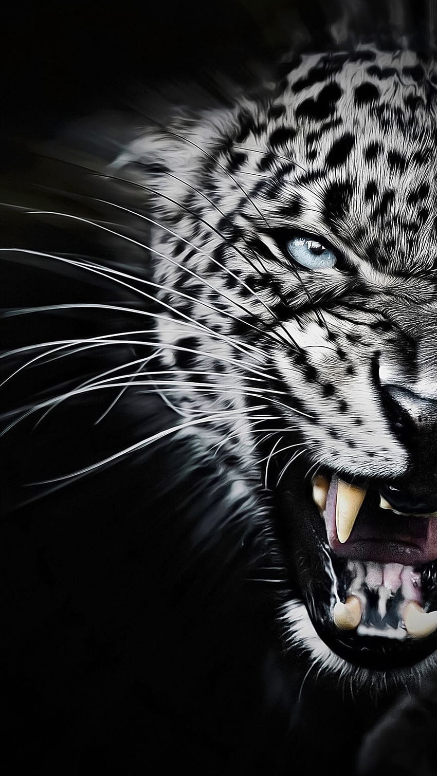 the black tiger, tiger, lion HD phone wallpaper