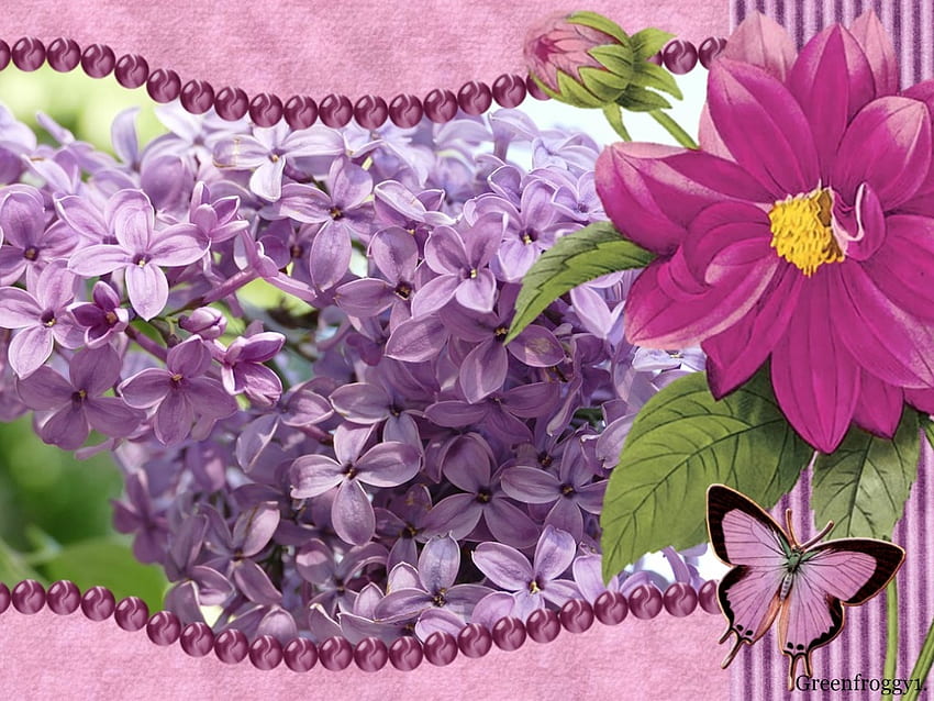 SCENTED WAVE, FLOWERS, LOVELY, FRAMED, LILAC HD wallpaper