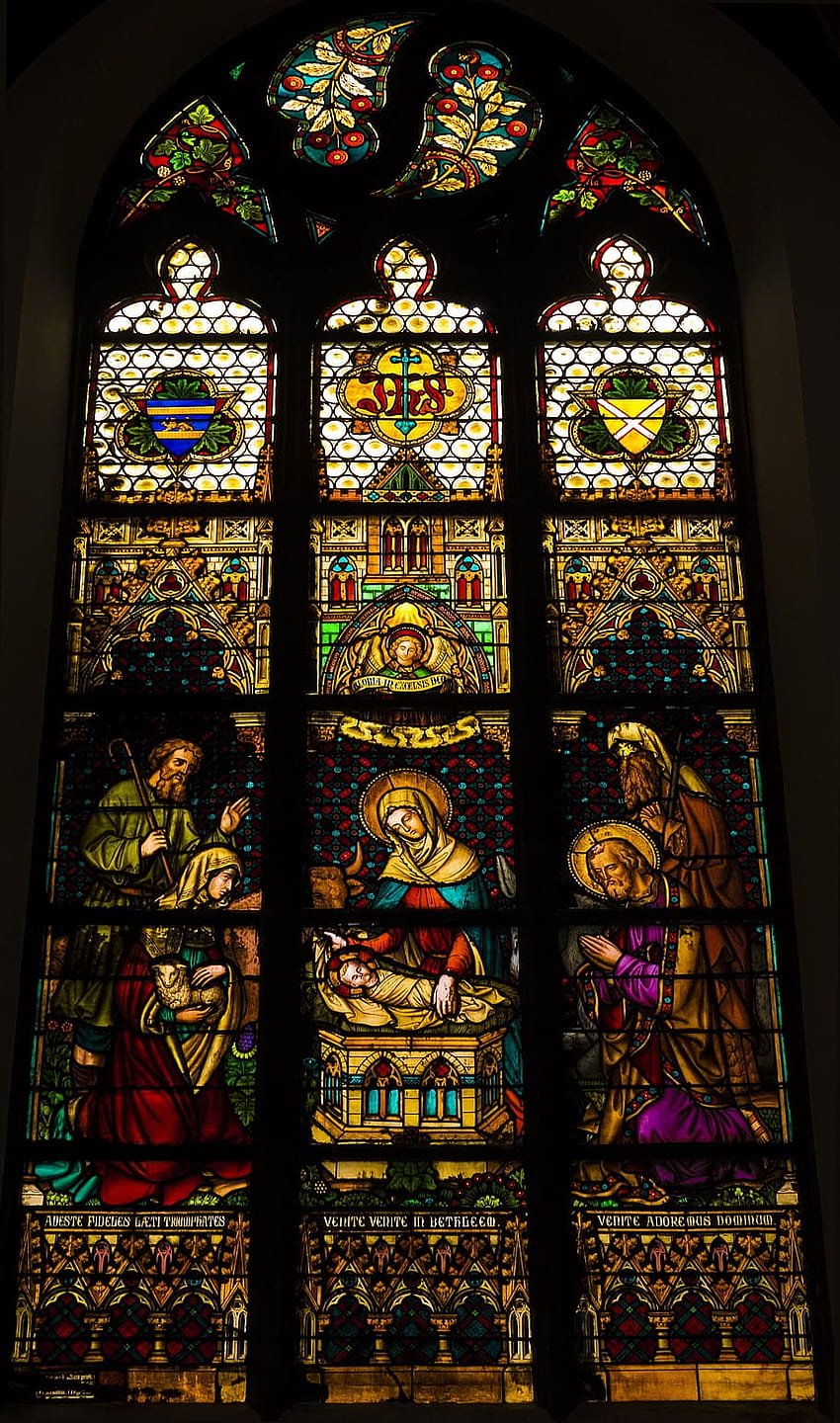 : Mons, Kirche, Buntglasfenster, Farben, katholisch, Religion, katholische Kathedrale HD-Handy-Hintergrundbild