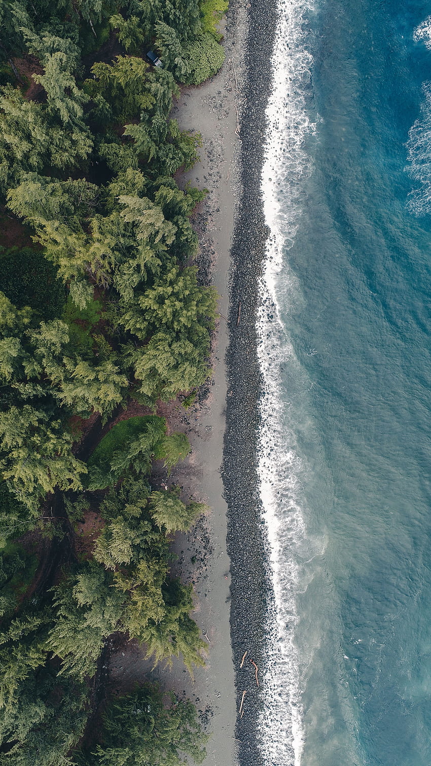 Natura, acqua, alberi, spiaggia, vista dall'alto, costa Sfondo del telefono HD