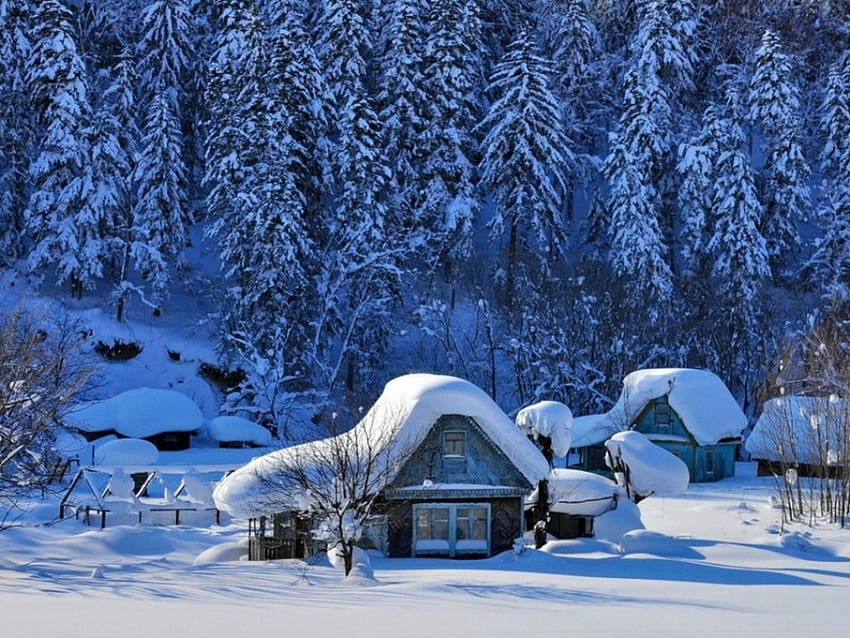 Forêt d'hiver, hiver, bois, neige, maison, arbres, forêt Fond d'écran HD