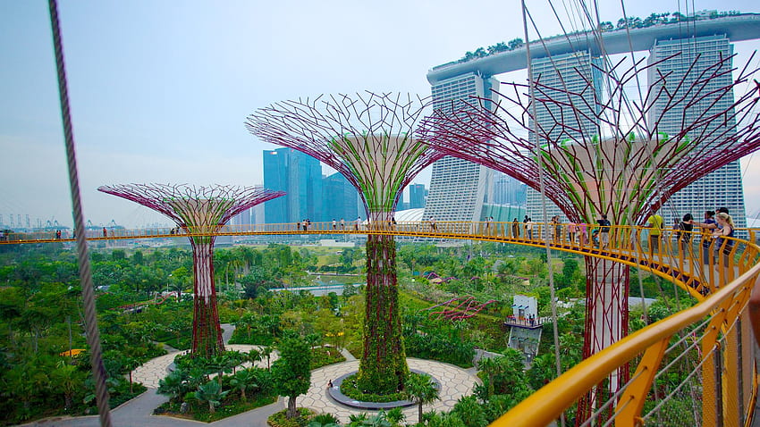 Edificios ecológicos en un Singapur sostenible - The Water Network fondo de pantalla