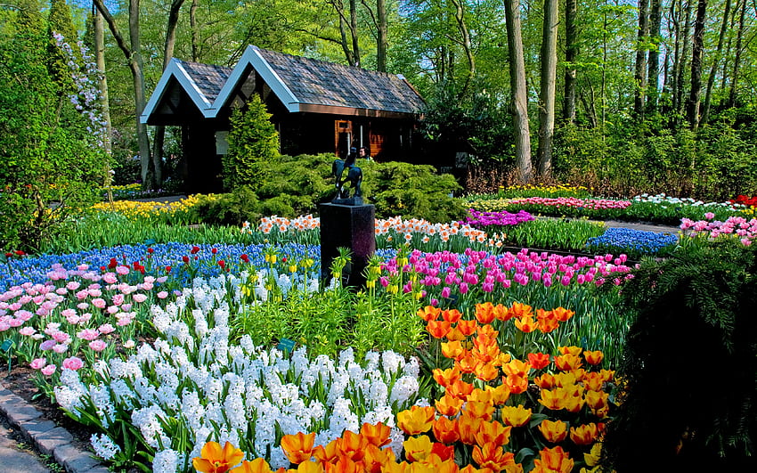 Jardines de Keukenhof, Países Bajos, narcisos, árboles, cabañas, flores, tulipanes, primavera fondo de pantalla