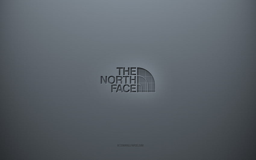 The North Face 로고, 회색 크리에이티브 배경, The North Face 상징, 회색 종이 질감, The North Face, 회색 배경, The North Face 3d 로고 HD 월페이퍼