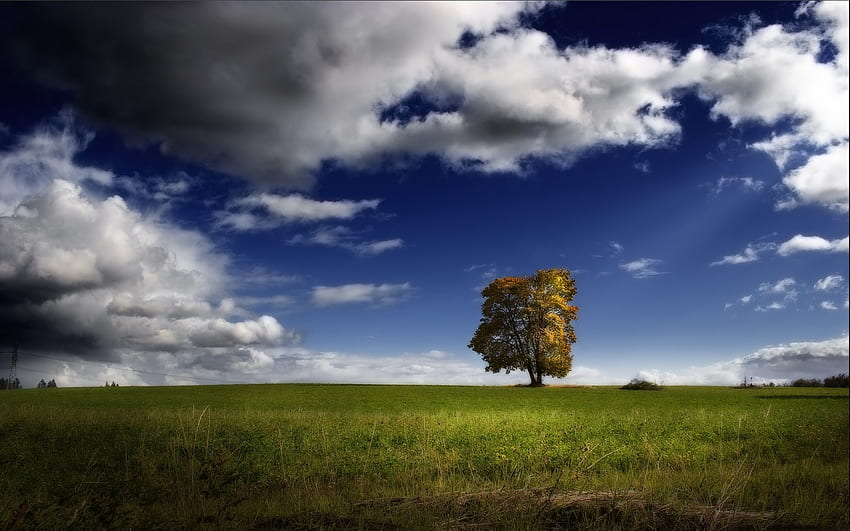 Landschaft, Bäume HD-Hintergrundbild