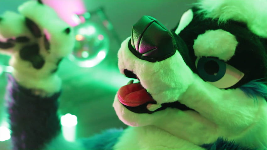 Fursuit HD wallpaper