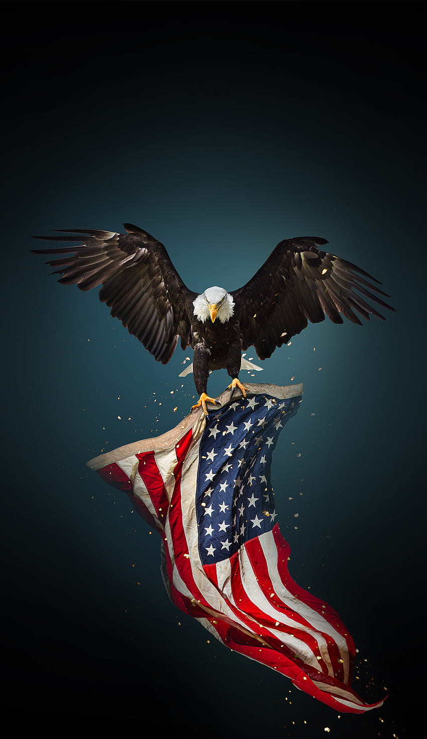 Lulu Whitney on US Flag / R, W&B crafts. Patriotic , American flag eagle, American flag, Bald Eagle Flag HD phone wallpaper