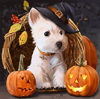 Halloween Puppy Wallpapers on WallpaperDog